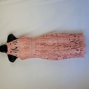 Bardot Isa Lace Dress w/ Jewel Neckline Vintage Rose Size 6 NWT